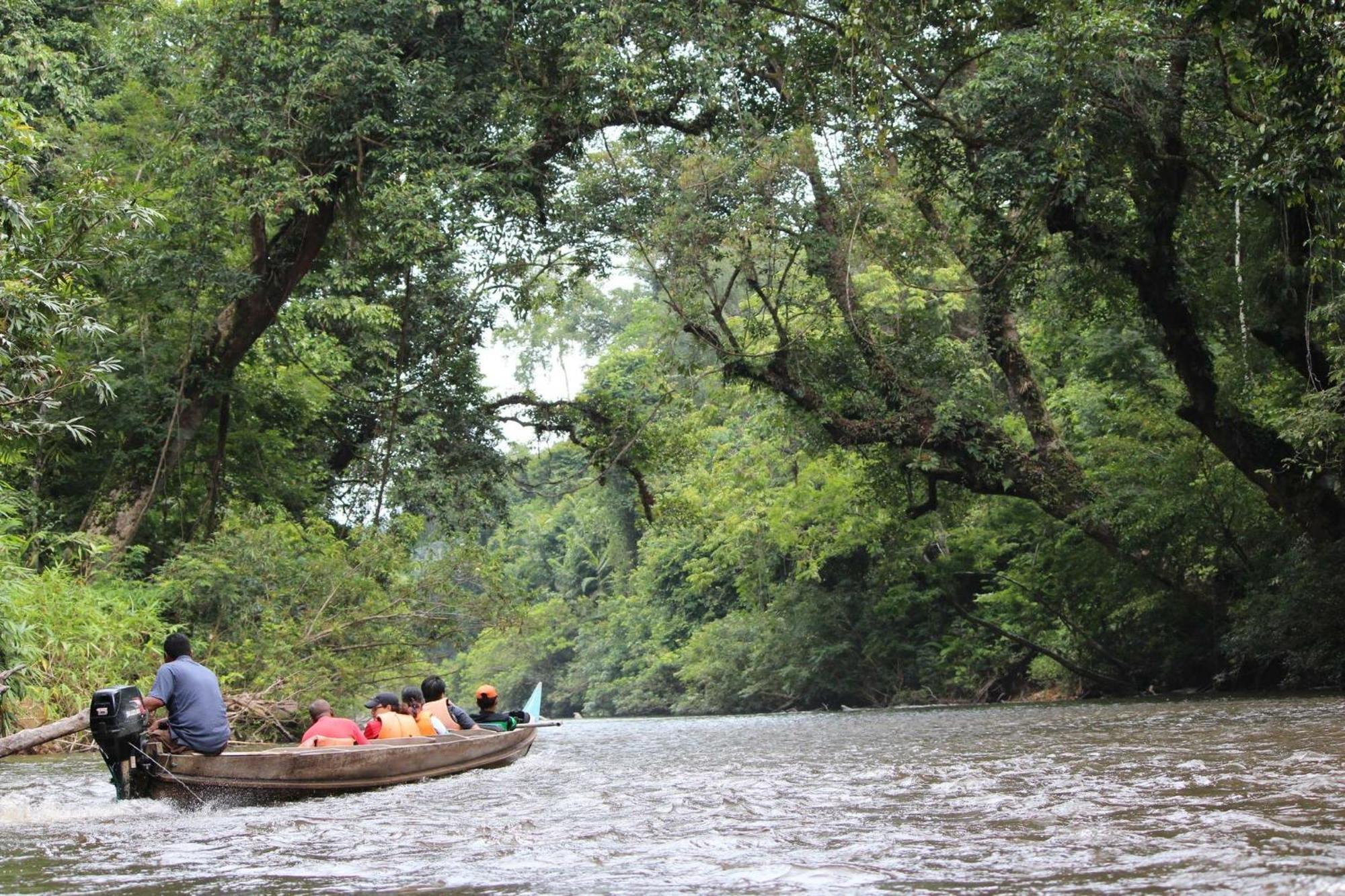 Dtahan Motel Taman Negara Kuala Tahan Ngoại thất bức ảnh